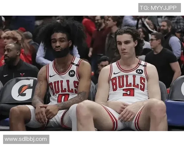 公牛队与独行侠队对决数据分析及比赛亮点回顾