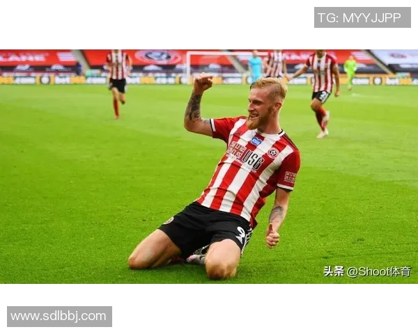 布赖顿主场迎战赫尔城期待精彩对决与激烈竞争