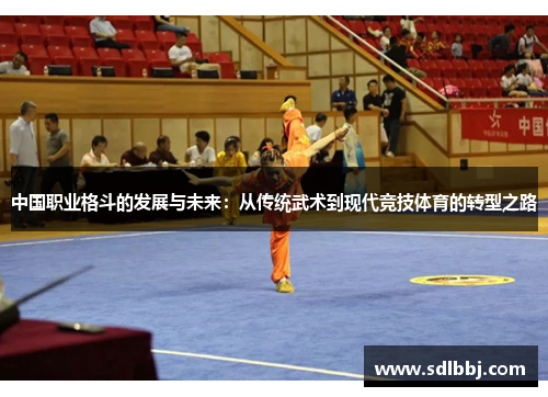 中国职业格斗的发展与未来：从传统武术到现代竞技体育的转型之路