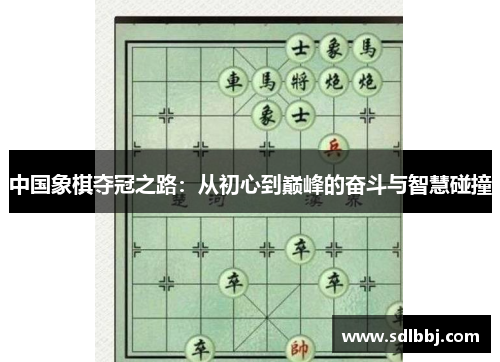 中国象棋夺冠之路：从初心到巅峰的奋斗与智慧碰撞