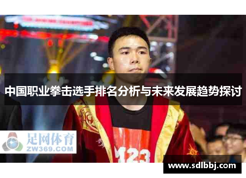中国职业拳击选手排名分析与未来发展趋势探讨