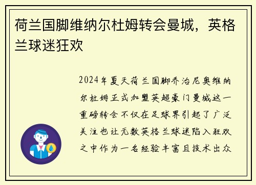 荷兰国脚维纳尔杜姆转会曼城，英格兰球迷狂欢